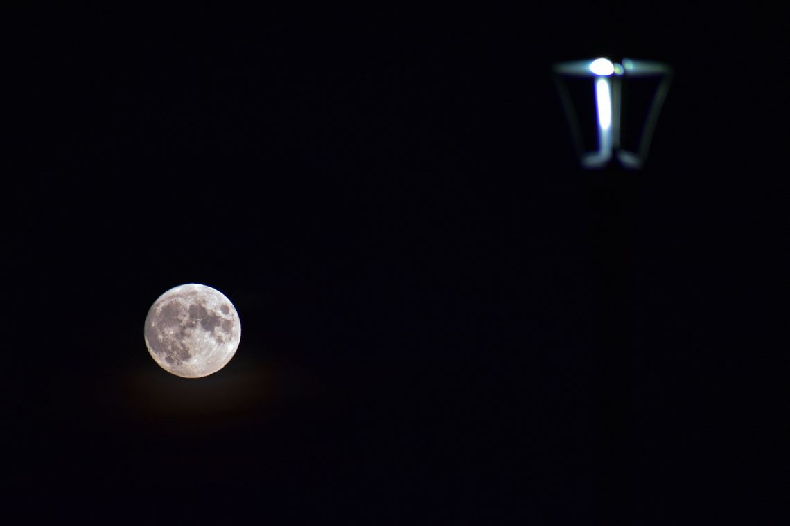 Streetlights and Moonlight, Edmonton