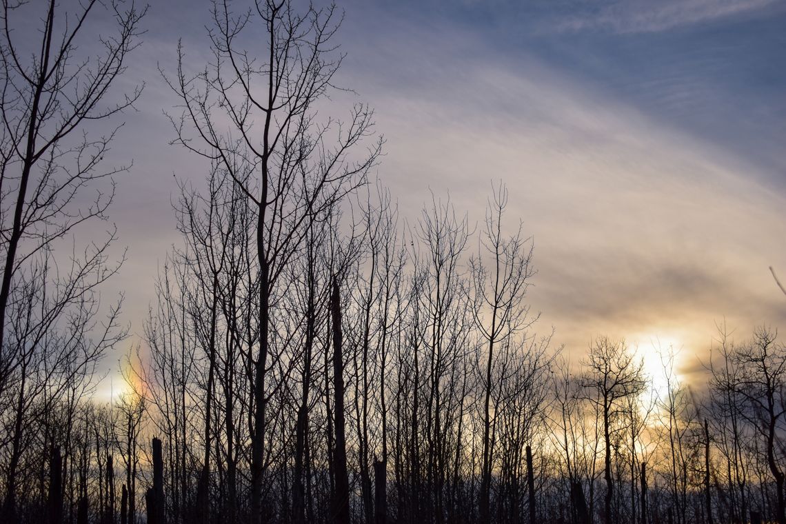 Sun Dog in Elk Island National Park, Alberta