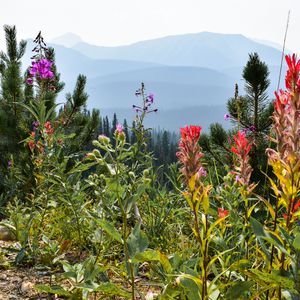High Rockies Trail, Alberta